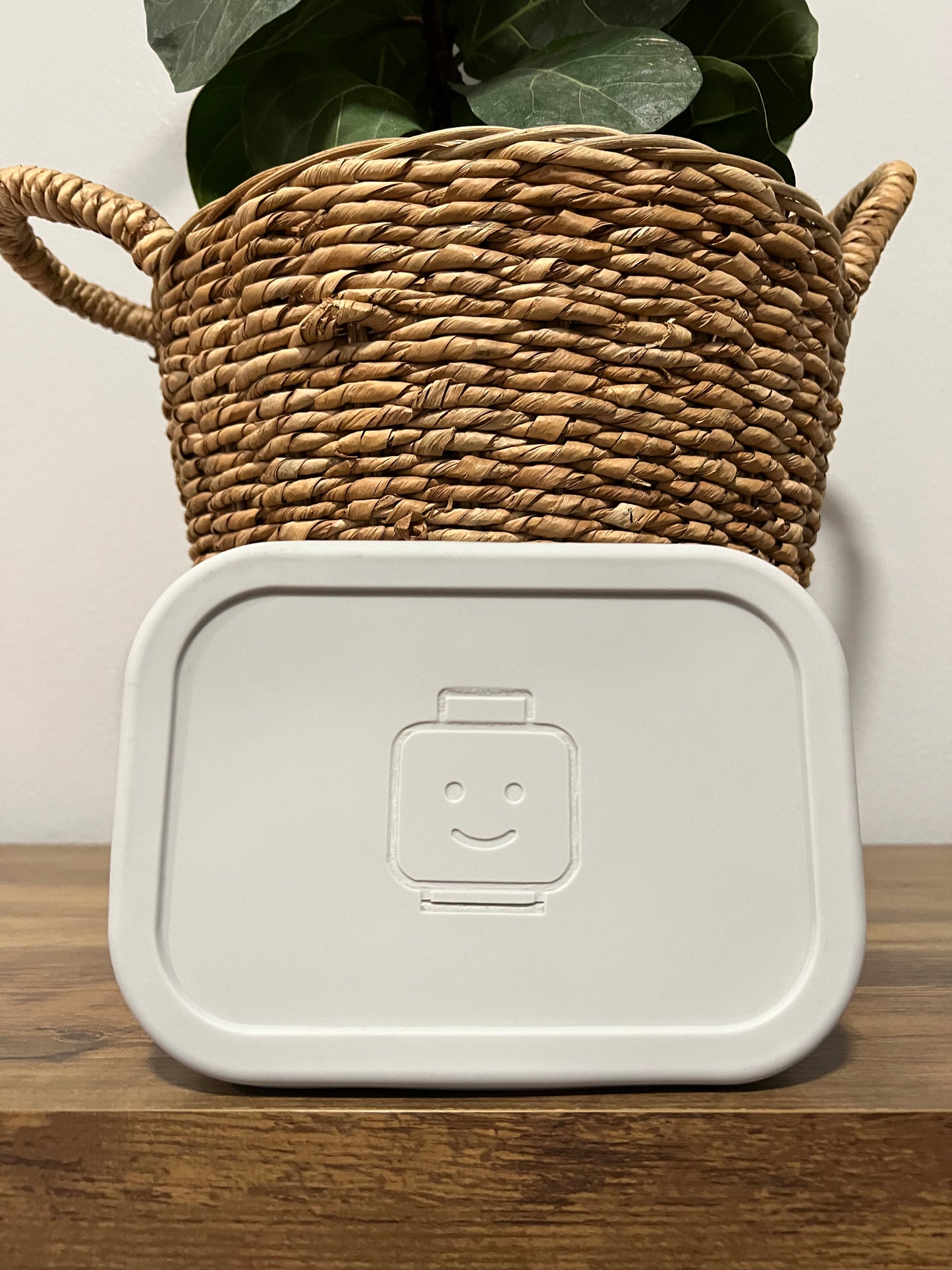 MiniFig BentoBox